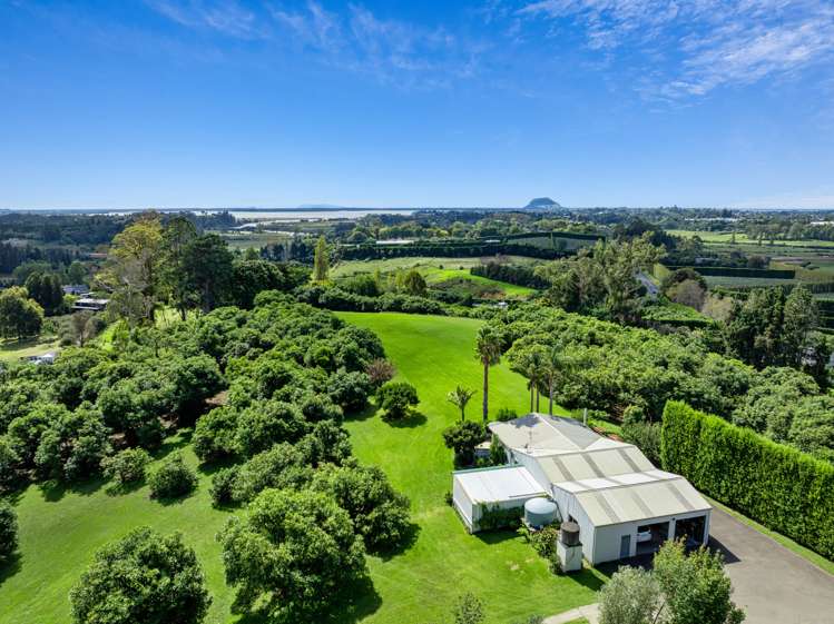 14c Crawford Road Wairoa_4