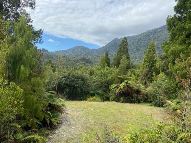 5 Mokihinui Preserve Seddonville_5