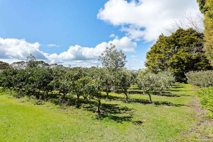 58a Waipapa Road Kerikeri_15