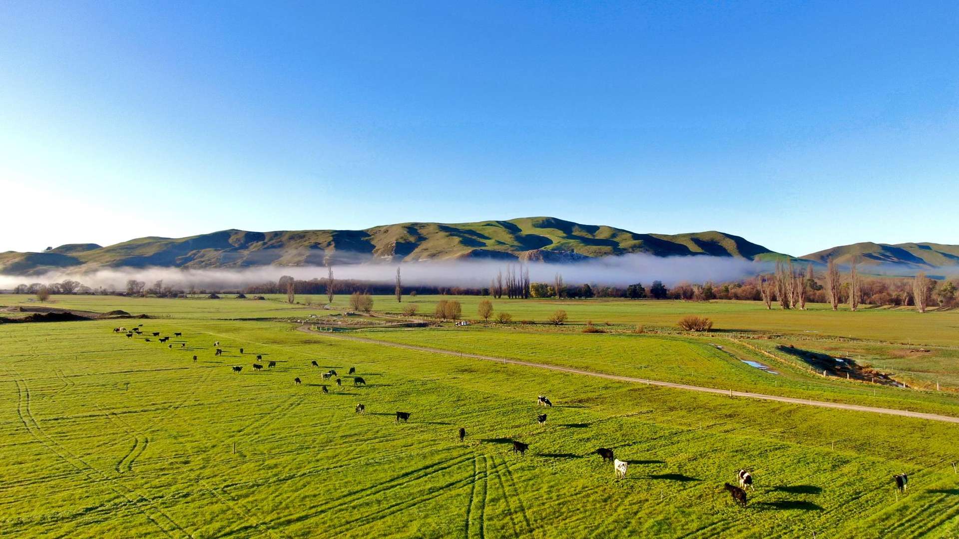 566 Pourerere Road Waipawa_0