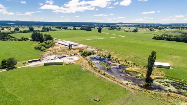 128 Mangamutu Road Murupara Surrounds_2