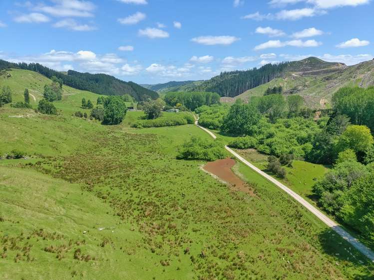 370 Matatara Road Parikino_3