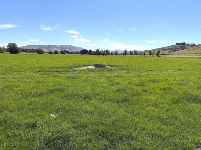 Grazing & Supplement Block