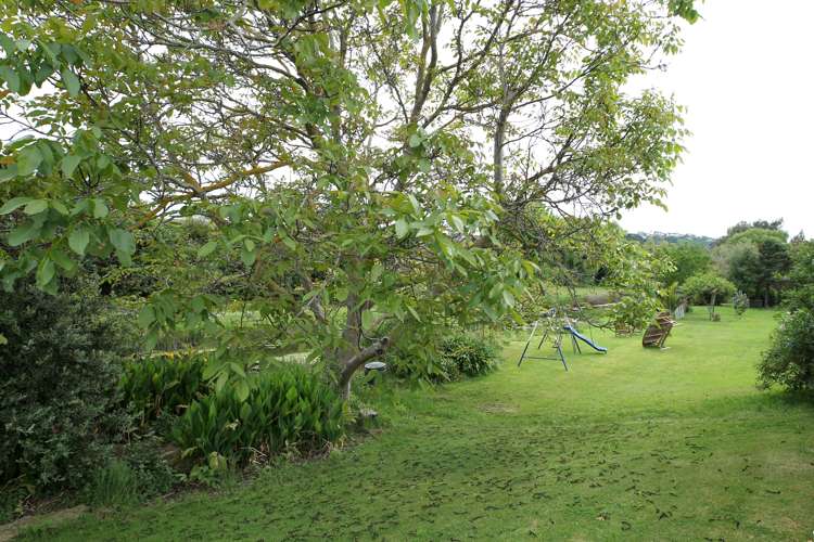 3/30 Morgan Avenue Marewa_21