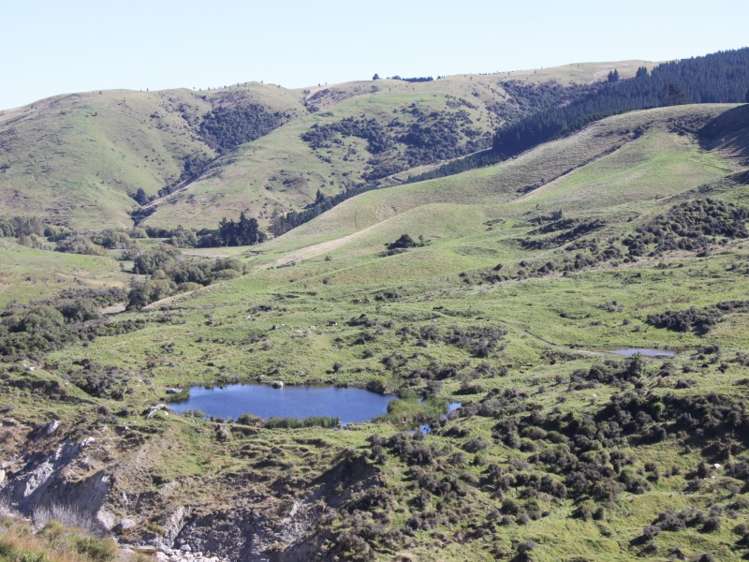 1007 Motunau Beach Road Motunau_4