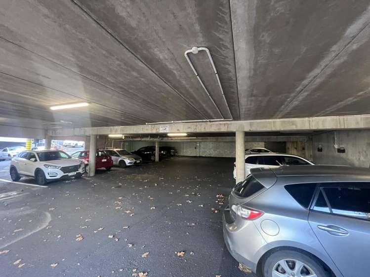 5 Wilkins Street Freemans Bay_14