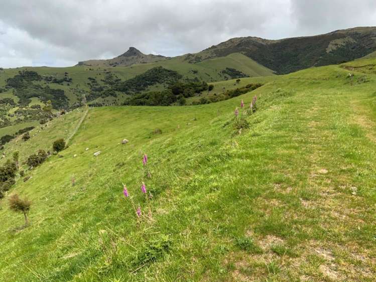 195 Jubilee Road Wainui_13