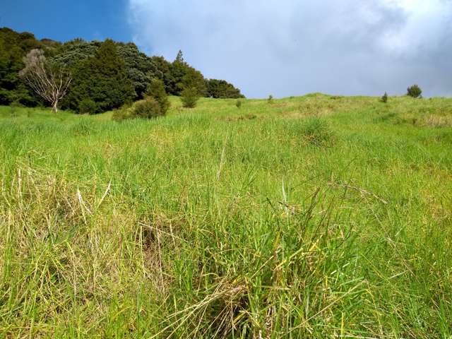 1708 Russell Road Hukerenui and Surrounds_2