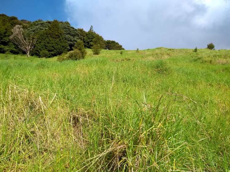 1708 Russell Road Hukerenui and Surrounds_2