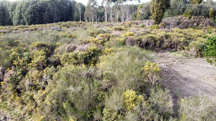 Maori Gully Road Arnold Valley_3