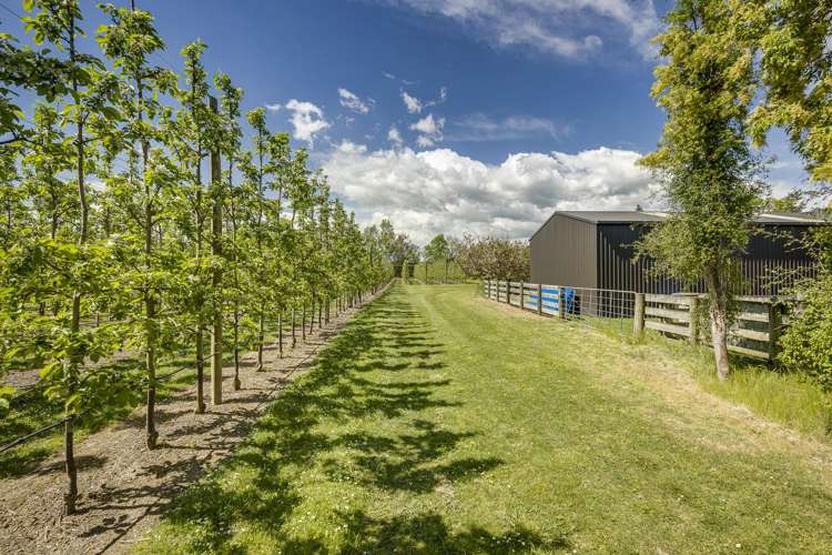 1127 Riverslea Road South Longlands_33