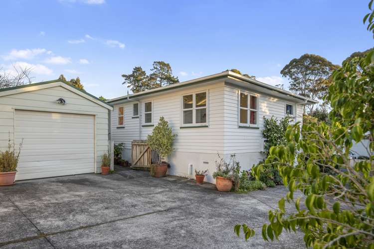 46 Melba Street Beach Haven_18