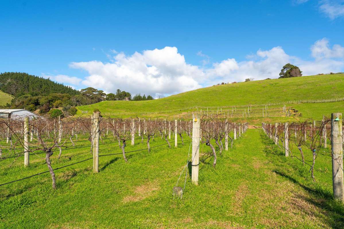Lot 1, 4, and 9 Mahinepua Road_2