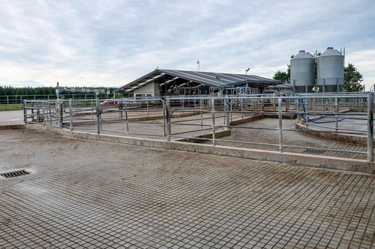 1444 Maronan Valetta Road Westerfield_6