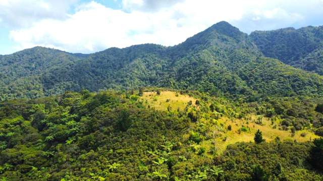 Pinehill Road Omapere_2