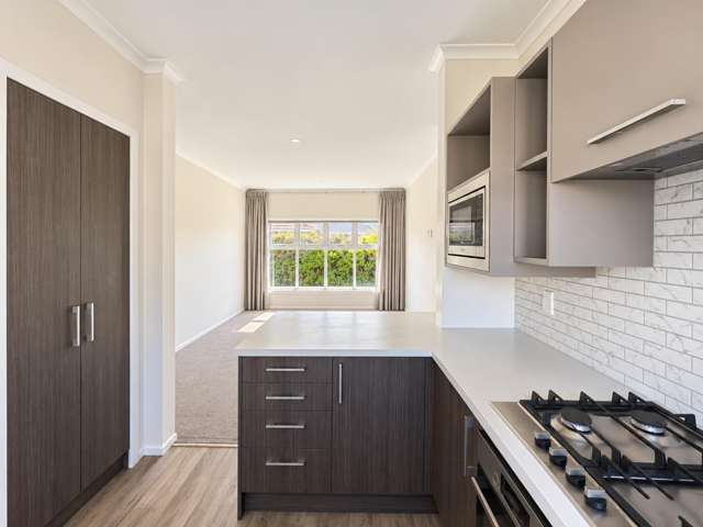 60A Galloway Street Hamilton East_2