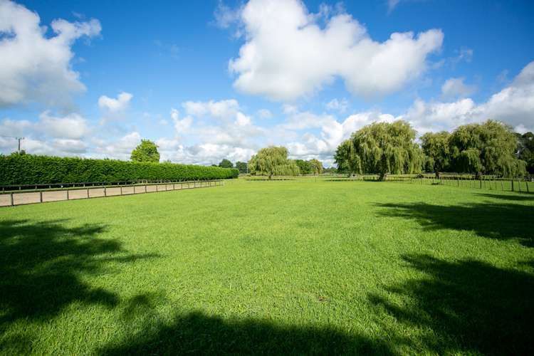 1/31 Forrest Road Cambridge_10