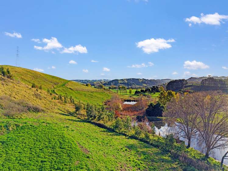 Kopaki Bay Road Puketapu_6