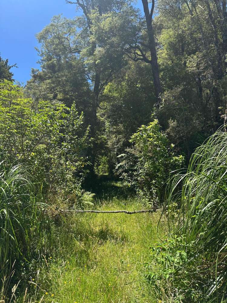 240 Teapot Valley Road Brightwater_42