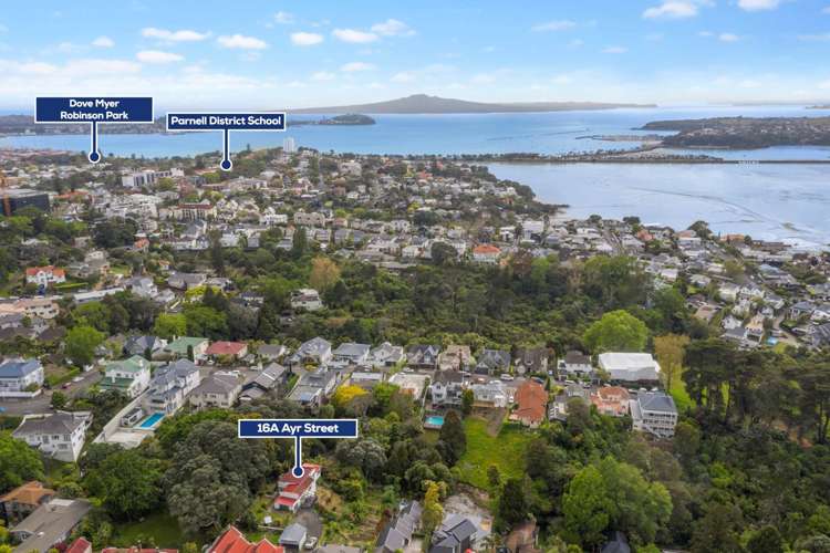 16a Ayr Street Parnell_19