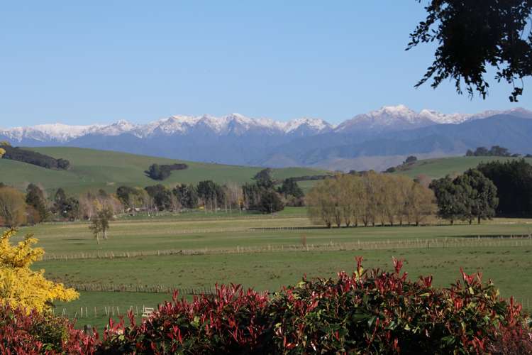 82 James Road Rangitumau_23