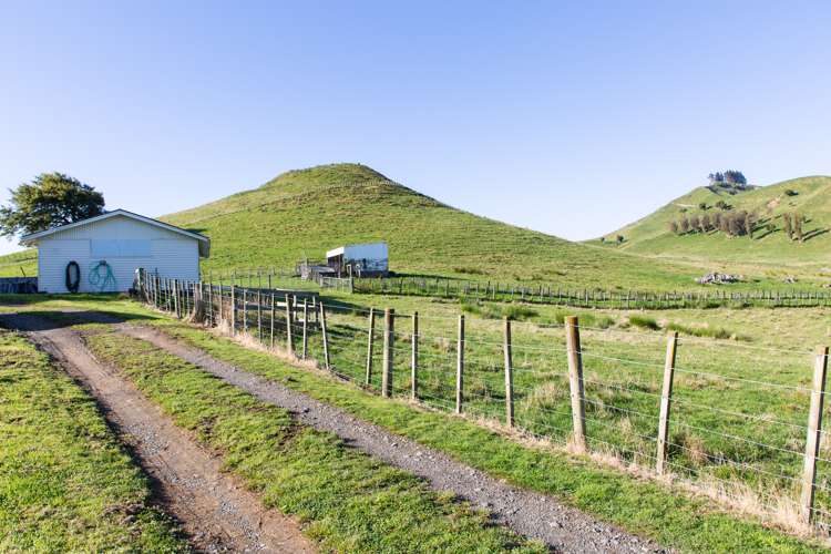 334 Ormondville Te Uri Road Ormondville_4