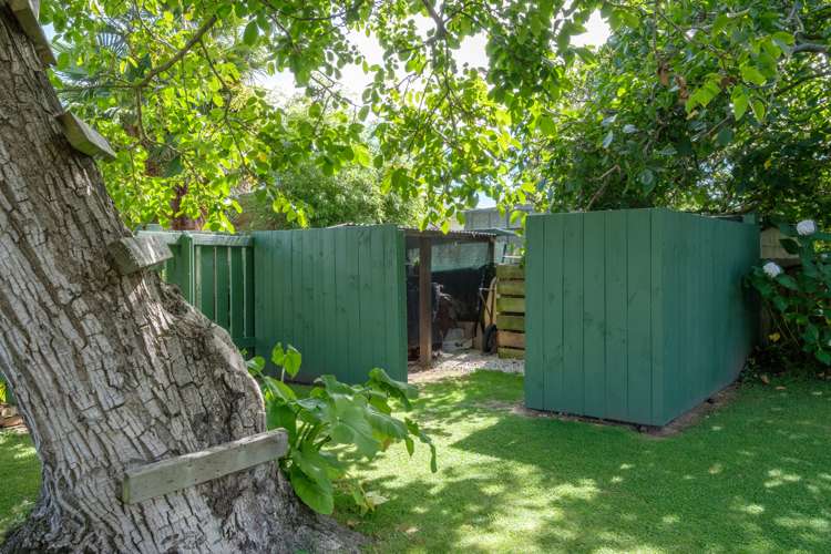 20a Domett Street Whataupoko_18