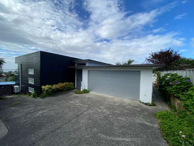 Stunning Family Home with Sky Tower Views