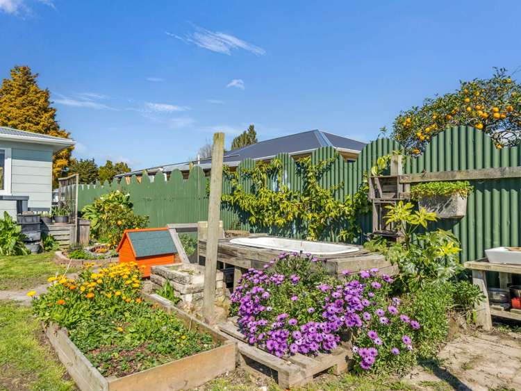 15 Rimu Street Edgecumbe_17