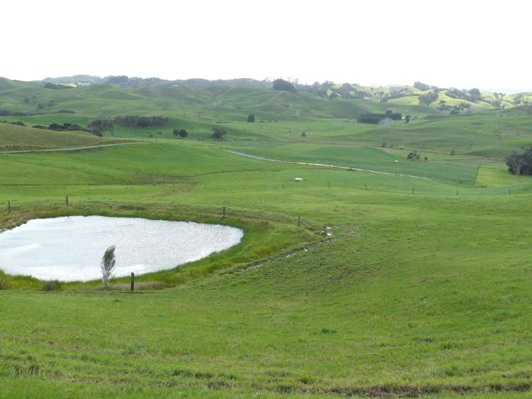 1907 Diggers Valley Road Kaitaia_6