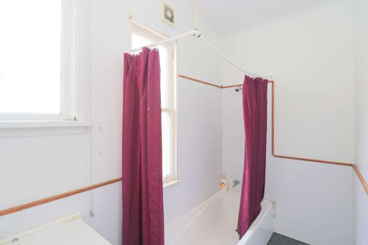 319 Tweed Street Georgetown_19