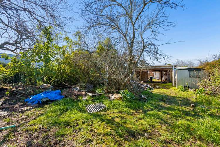 20 Holly Street Avondale_20