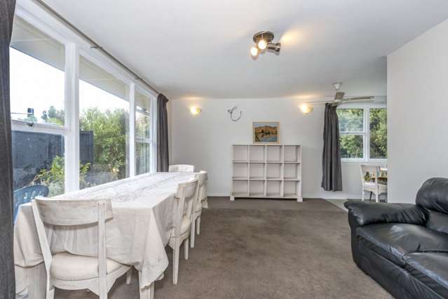 202 Opawa Road Hillsborough_2