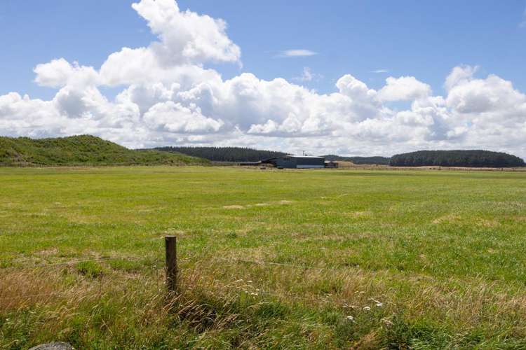 590 Brandon Hall Road Bulls_23