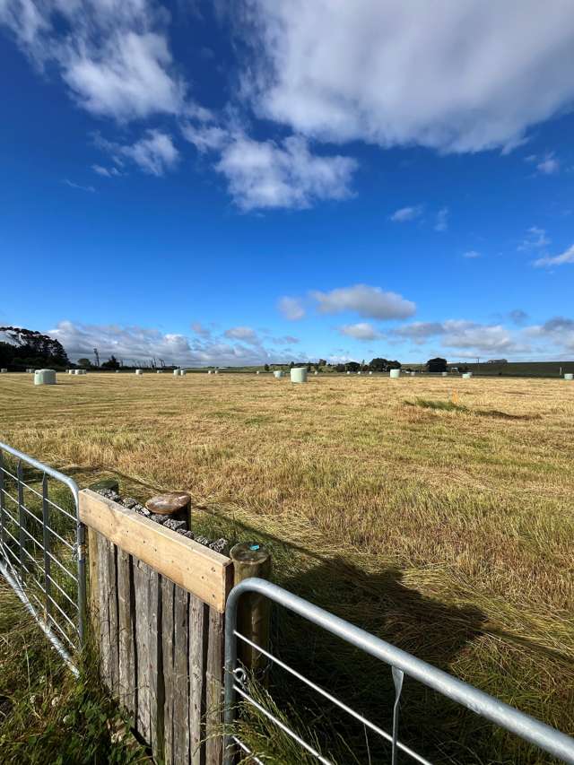 26 Cnr Spur/Taonui Road Colyton_2