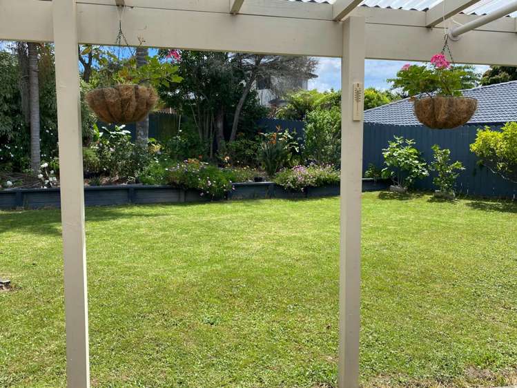 6 Midhurst Avenue Henderson_7