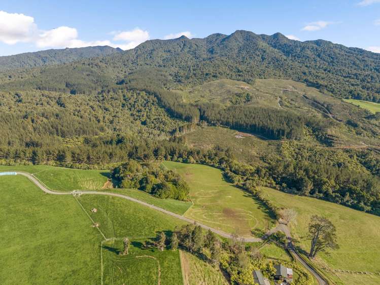 2/471 Sainsbury Road Pirongia_7