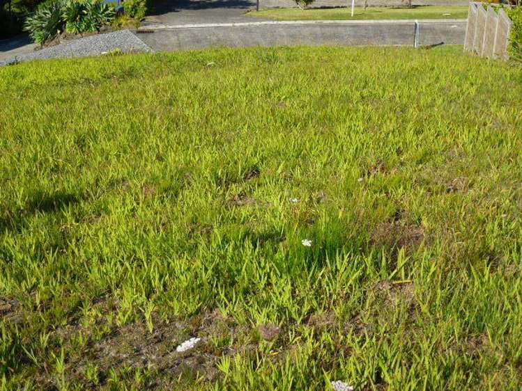 131 Pacific View Drive Whangamata_5