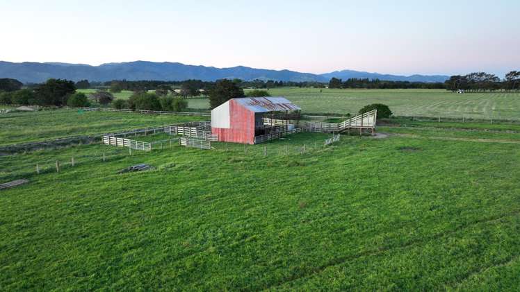Duddings Line Tauherenikau_10