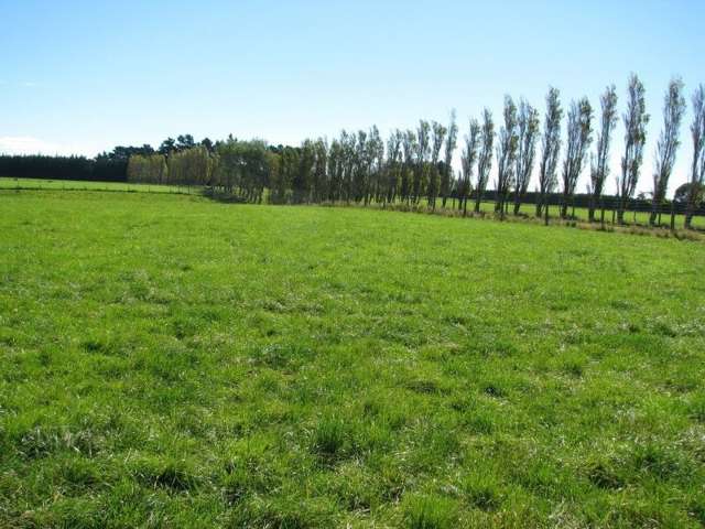 252 Hamilton Road Otautau_2