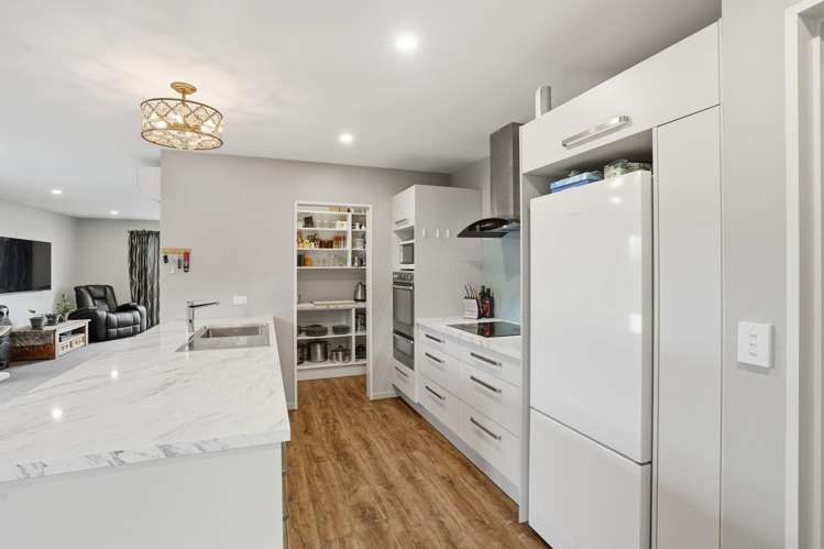 16 Pallid Green Rolleston_6