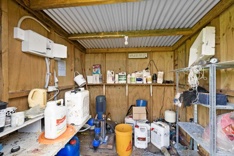 379d Tara Road Mangawhai_8