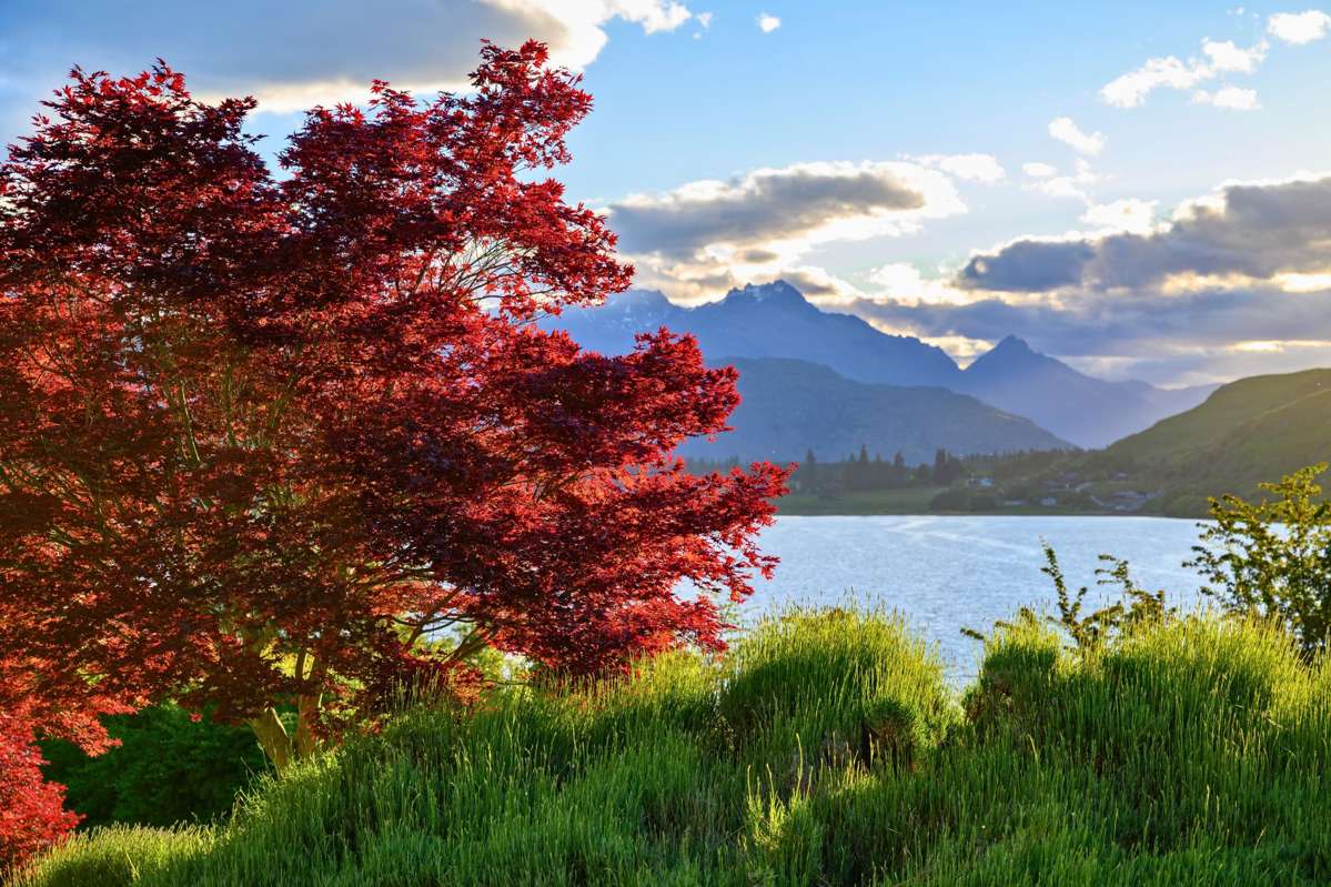 144A Arrowtown-Lake Hayes Road_4