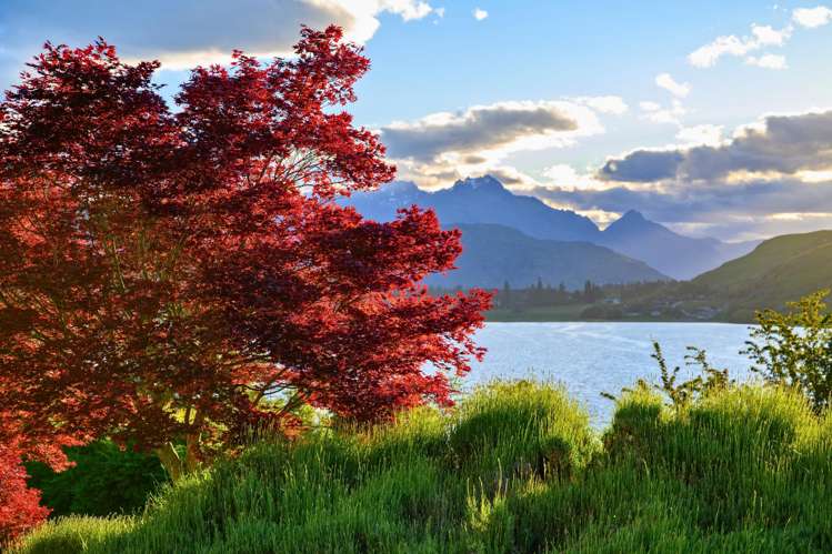 144A Arrowtown-Lake Hayes Road Lake Hayes_8