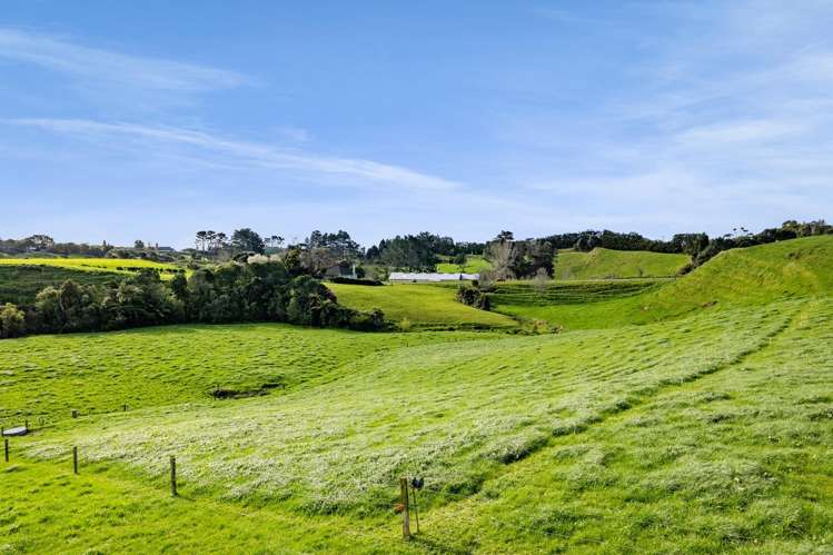 1028 Main North Road Onaero_11