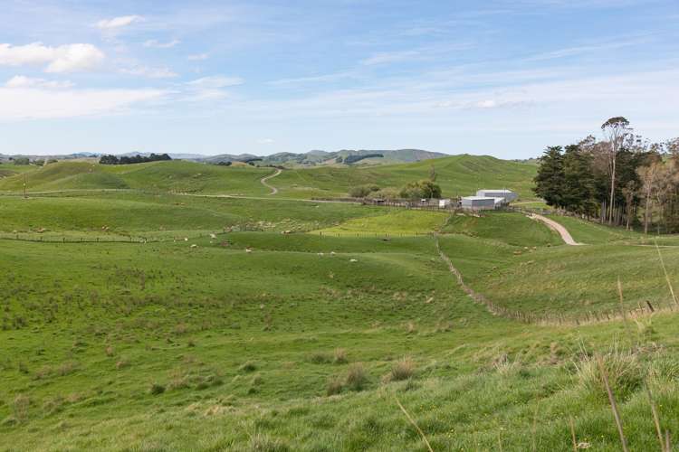 300 Pattison Road Waipukurau_18
