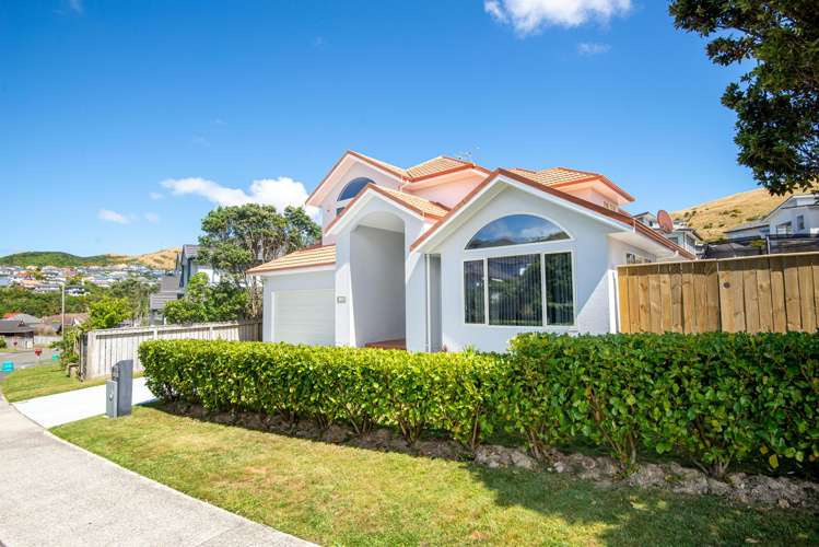 119 Cortina Avenue Johnsonville_26