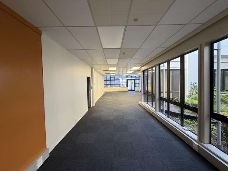 23 - 25 Bower Street Napier South_6