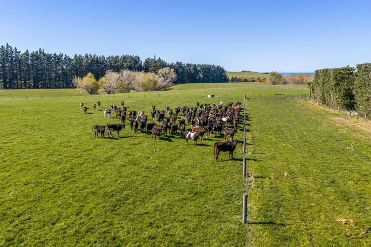 1492 Happy Valley Road Motunau_11