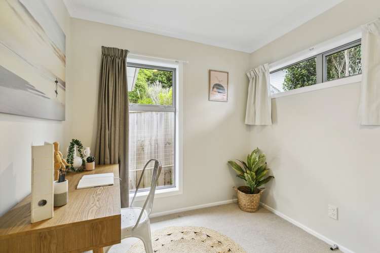 125a Miramar North Road Miramar_8